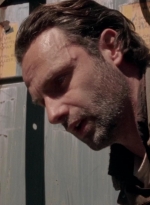 twd315-001010.jpg