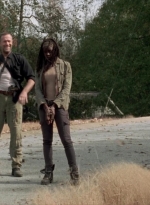 twd315-001271.jpg