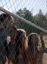 twd315-001991.jpg