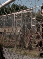 twd315-002012.jpg