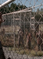 twd315-002013.jpg