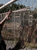 twd315-002015.jpg