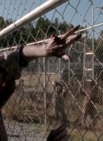 twd315-002016.jpg