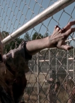 twd315-002019.jpg