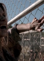 twd315-002020.jpg