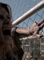 twd315-002021.jpg