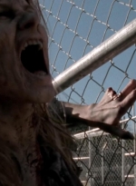 twd315-002023.jpg