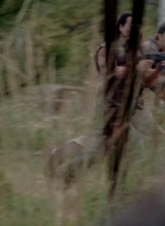 twd315-002403.jpg