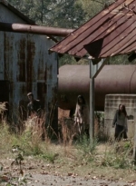 twd315-002411.jpg