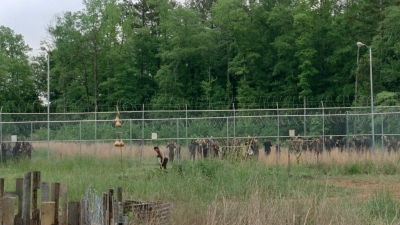 thewalkingdead0401-0052.jpg