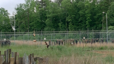 thewalkingdead0401-0055.jpg