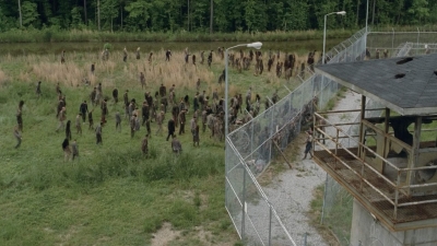 thewalkingdead0401-0283.jpg