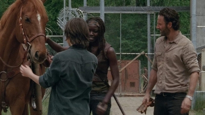 thewalkingdead0401-0693.jpg