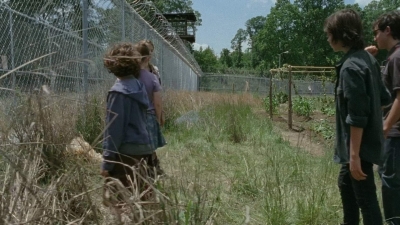 thewalkingdead0401-1183.jpg