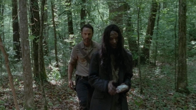 thewalkingdead0401-1522.jpg