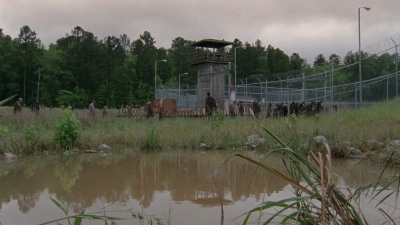 thewalkingdead0401-2480.jpg