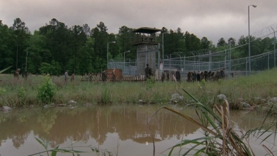 thewalkingdead0401-2481.jpg