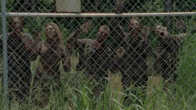 thewalkingdead0401-2485.jpg