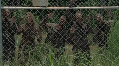 thewalkingdead0401-2486.jpg