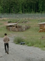 thewalkingdead0401-0041.jpg