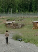 thewalkingdead0401-0043.jpg