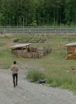 thewalkingdead0401-0044.jpg