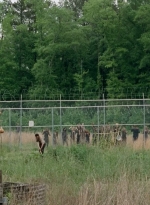 thewalkingdead0401-0051.jpg