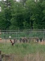 thewalkingdead0401-0052.jpg