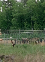 thewalkingdead0401-0055.jpg