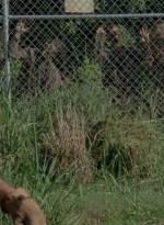 thewalkingdead0401-0085.jpg