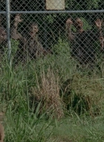 thewalkingdead0401-0086.jpg