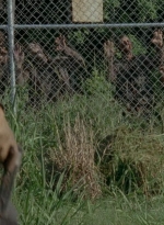 thewalkingdead0401-0087.jpg