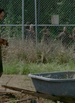 thewalkingdead0401-0108.jpg