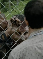 thewalkingdead0401-0261.jpg