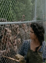 thewalkingdead0401-0278.jpg