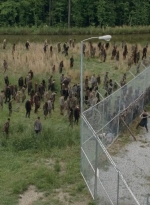 thewalkingdead0401-0280.jpg