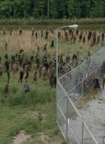 thewalkingdead0401-0281.jpg