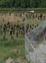 thewalkingdead0401-0283.jpg