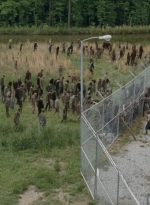 thewalkingdead0401-0285.jpg