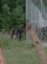 thewalkingdead0401-0337.jpg