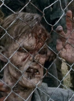 thewalkingdead0401-0341.jpg