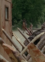 thewalkingdead0401-0672.jpg