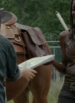 thewalkingdead0401-0697.jpg