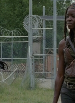 thewalkingdead0401-0735.jpg