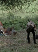 thewalkingdead0401-2221.jpg