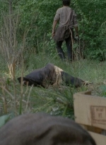 thewalkingdead0401-2369.jpg