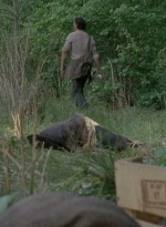 thewalkingdead0401-2370.jpg