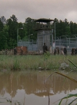 thewalkingdead0401-2481.jpg