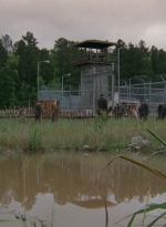 thewalkingdead0401-2483.jpg