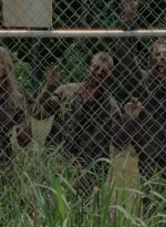 thewalkingdead0401-2484.jpg